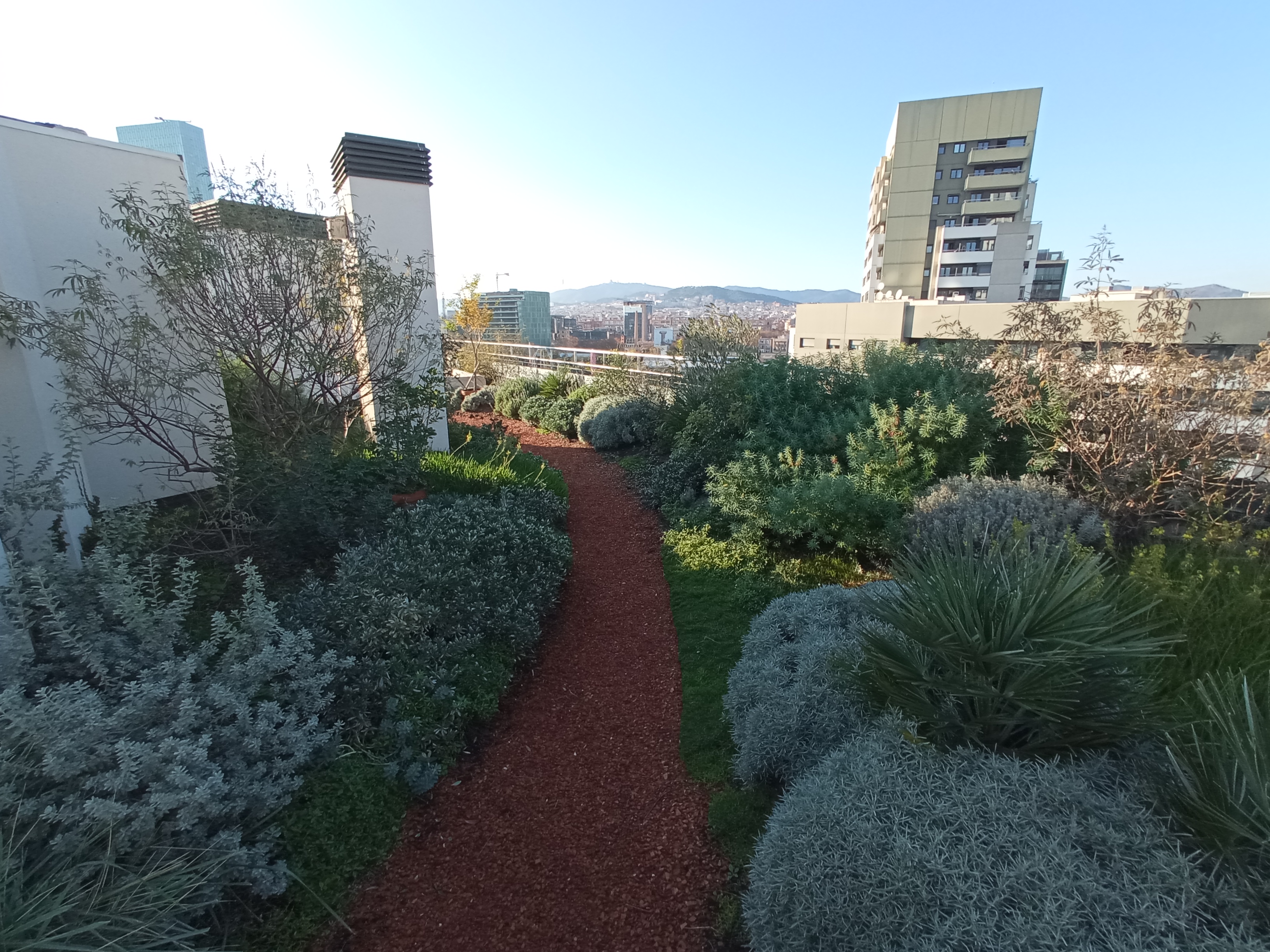 Green infrastructure development